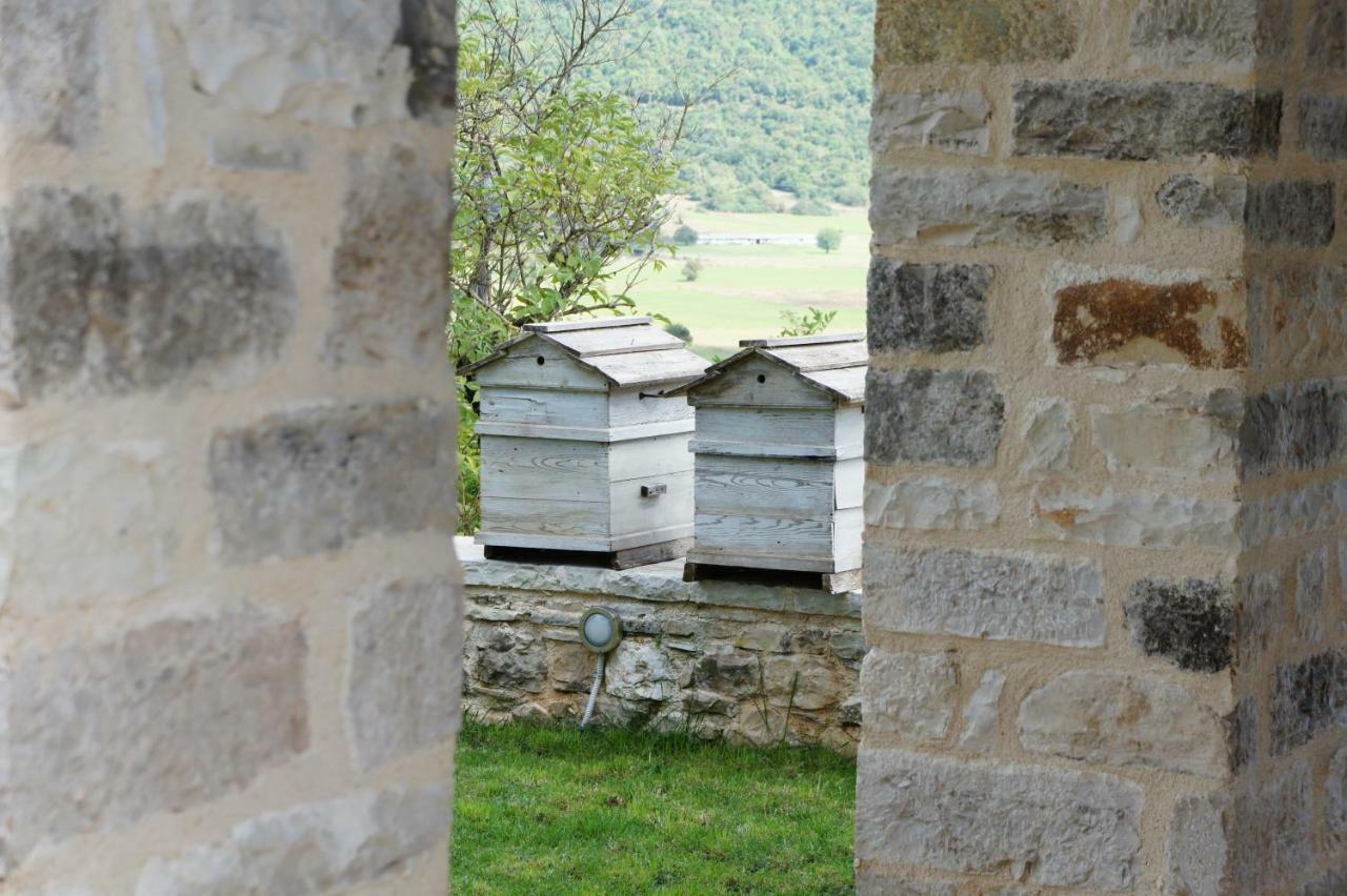 "Apeiros Chora" Hotel, Zagori Kato Pedina Exterior foto